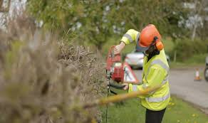 Warnford Village Parish Lengthsman Scheme