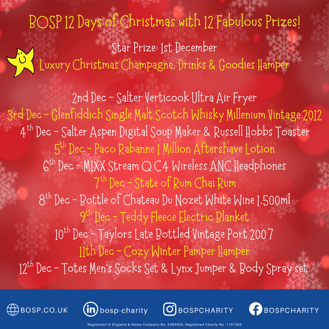 BOSP Brighter Opportunities for Special People  BOSP 12 Days of Christmas