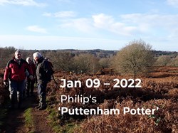 Philip’s ‘Puttenham Potter’. – Walking amongst the bracken and birch  on Puttenham Common. ©EH