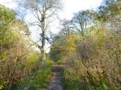 Burghwallis Parish Council Part One