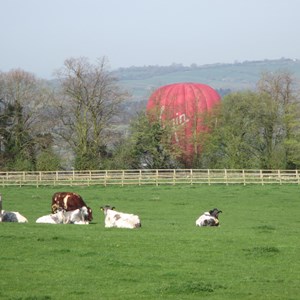2015: baloon landing near Ashendon