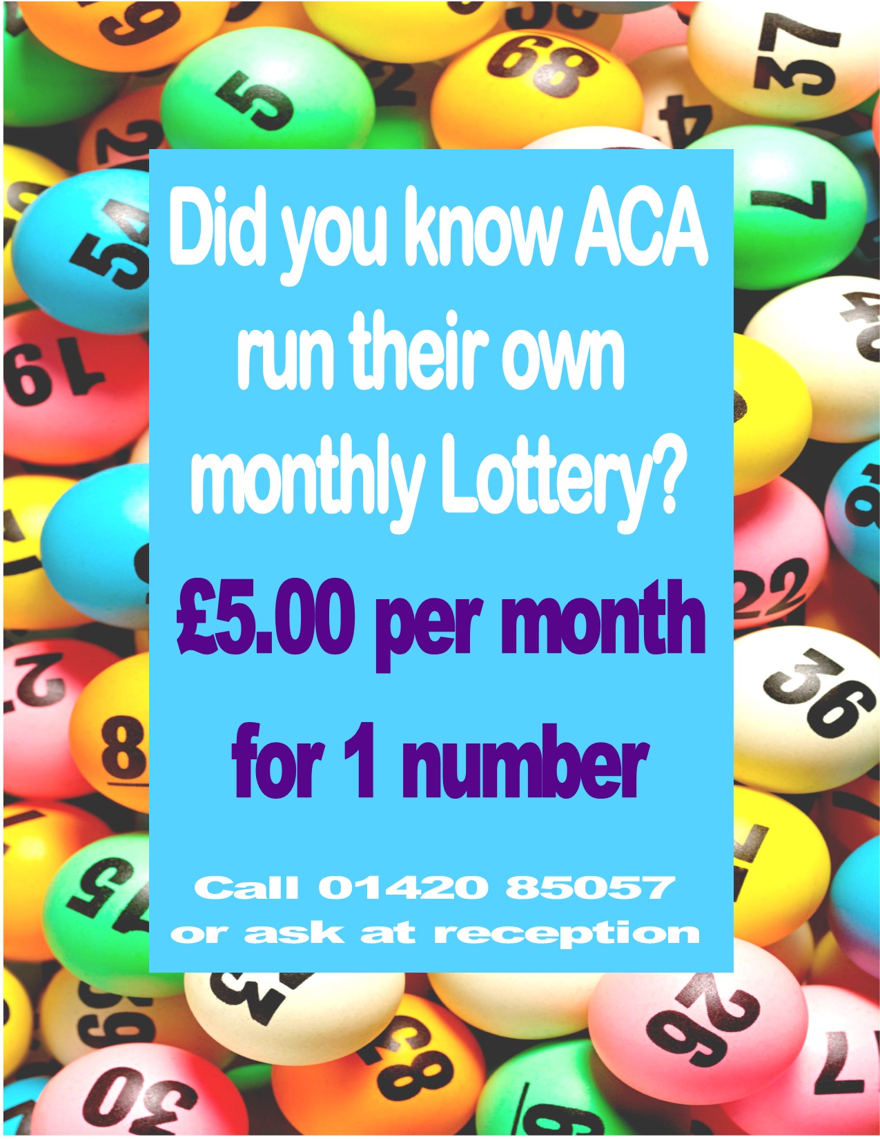 Alton Community Centre ACA Lottery