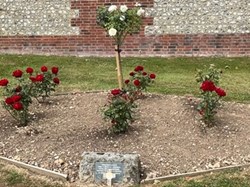 Farringdon Parish Council Hampshire Home