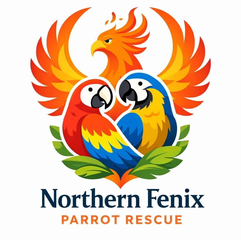 Northern Fenix Parrot Rescue Home