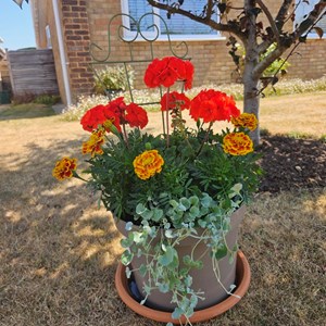 Oakley Community Association Oakley Village Show 2026
