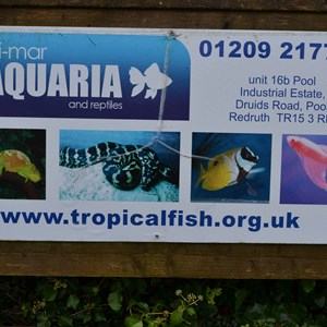 St Ives Bowling Club (Cornwall) Sponsors Gallery