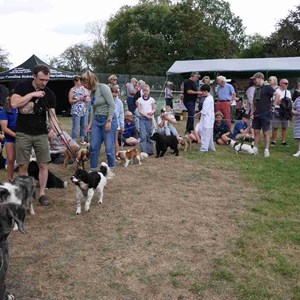 Goodworth Clatford Parish Council  Fete 2026 photos