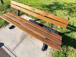 Peter's Bench 2025