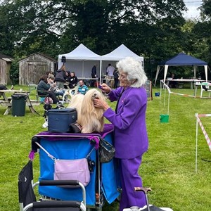 Whixall Social Centre Whixall Companion Dog Show 2024