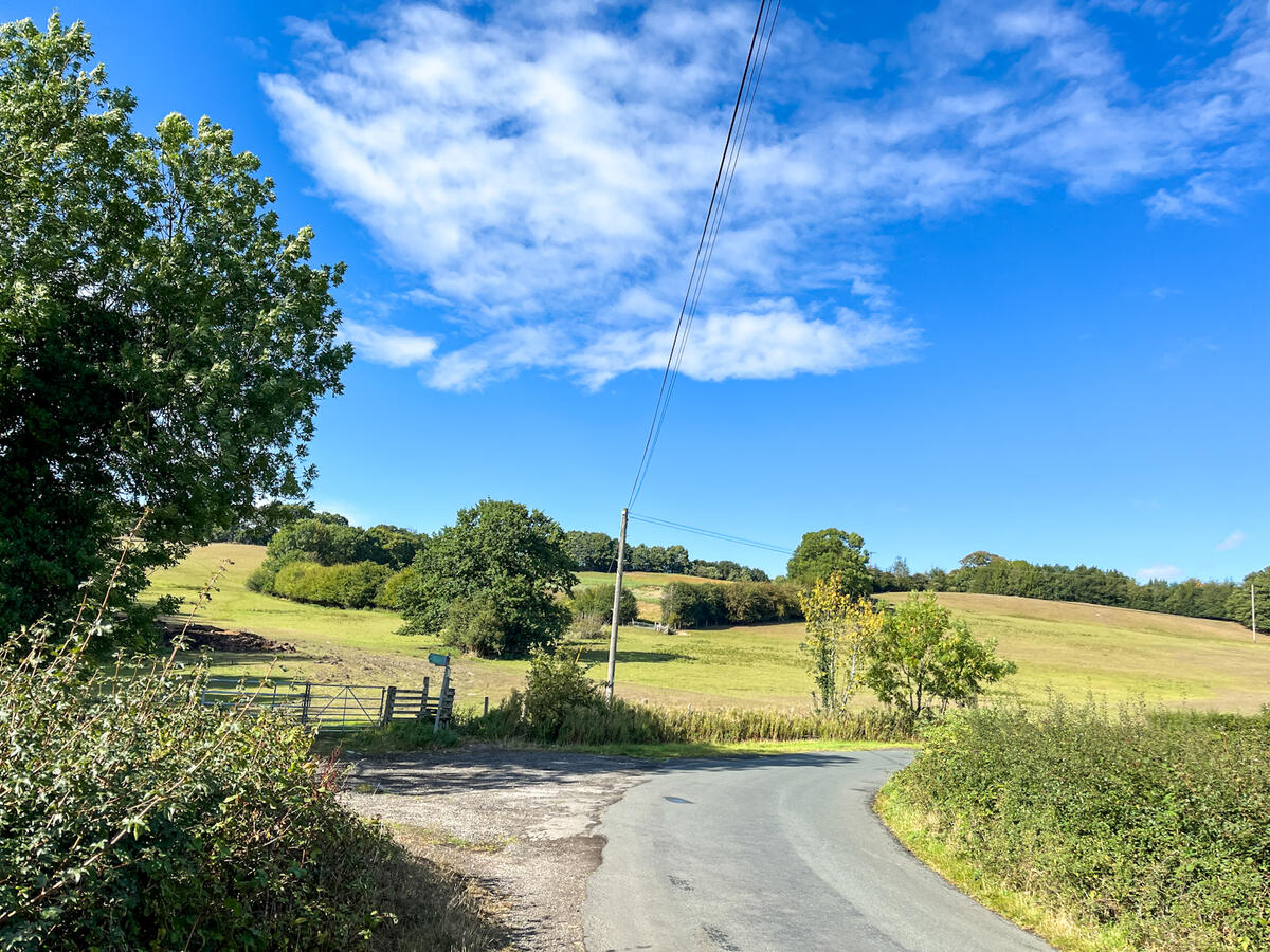 Fields around Crane Moor