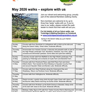 Snodland Town Council Posters for Noticeboards