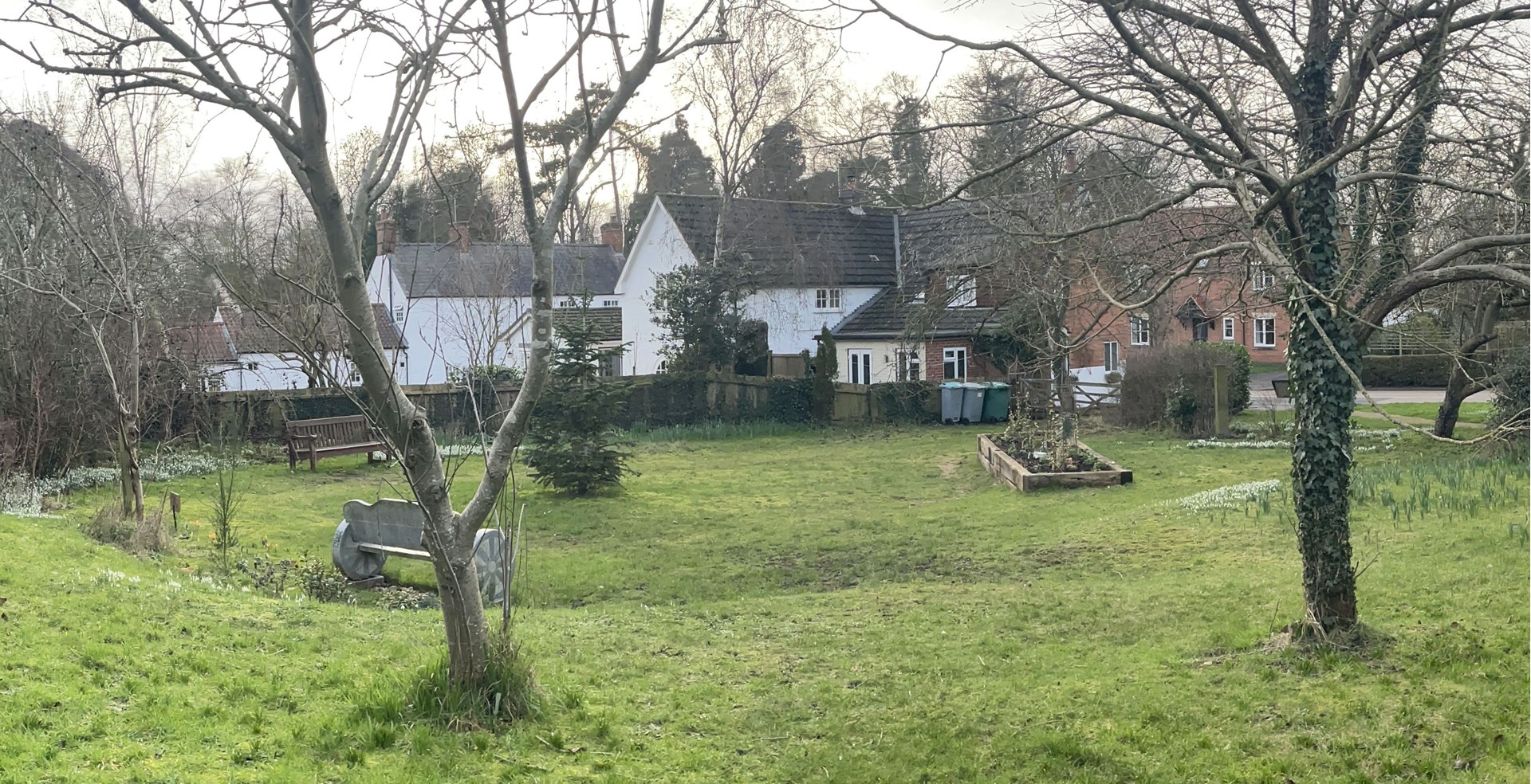 Collies Garden in February 2026