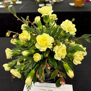 Mannings Heath & District Horticultural Society Photo Gallery