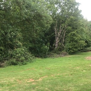 Hoo St Werburgh and Chattenden Parish Council Home