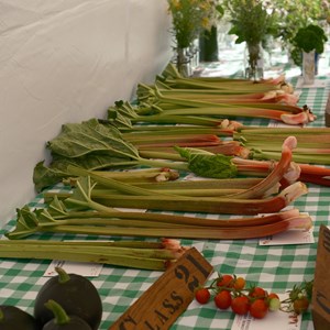 HBT Horticultural Society Photographs 2026