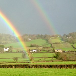 Dalwood Parish Council Home