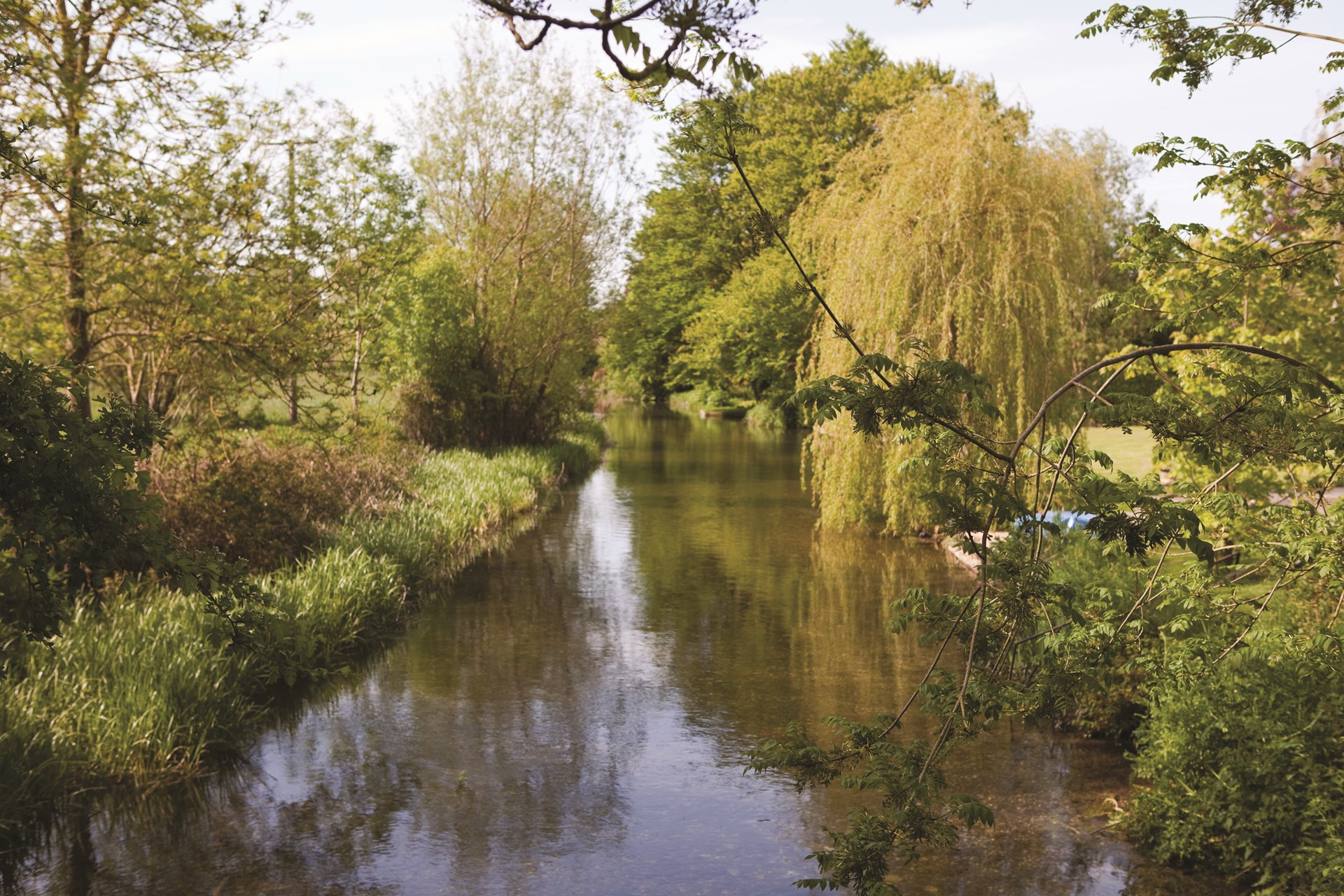 Berwick St James Parish The River Till