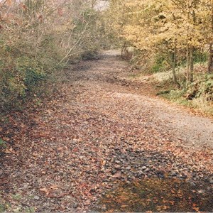 Berwick St James Parish The River Till