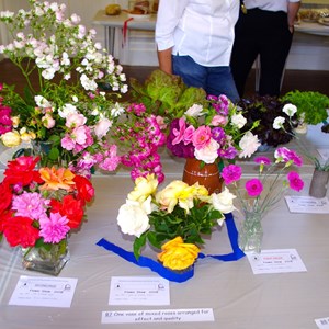 Mickleham and Westhumble Horticultural Society July 2015 show pictures