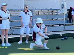 Henfield Bowling Club The Bowls