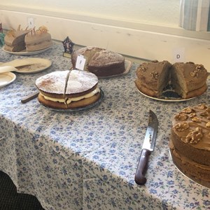 Cake competition entries