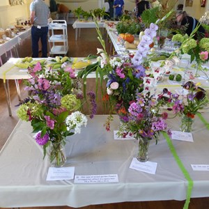 Mickleham and Westhumble Horticultural Society September 2018 show pictures