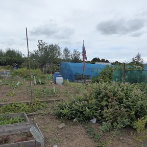 New Waltham Parish Council Allotments