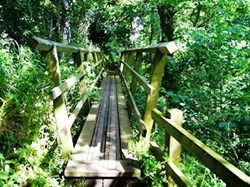 Old bridge along Hadrian's Path. Now damaged and path in this area is closed