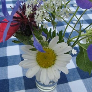 Cuddesdon and Denton Parish Council Jubilee Celebration