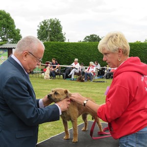 Whixall Social Centre Whixall Companion Dog Show 2022 Report