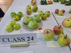 Bucklebury and Marlston Horticultural Society Autumn Show Report 2026