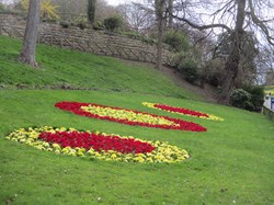 2021 - Polyanthus in the formal beds