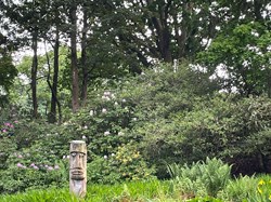 Bucklebury History Group The Dell - Carbinswood Lane