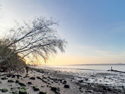 winter sunset on the Wrabness shore