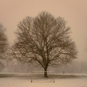 02. Misty snowy morning