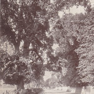 Anstey Road - Postmarked 09.08.1927