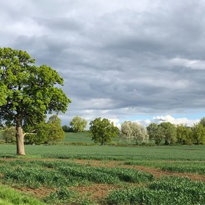 Cublington Parish Council Home