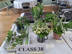 Bucklebury and Marlston Horticultural Society Summer Show 2026