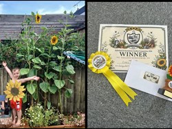Aylesham Parish Council Garden Competition 2026