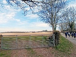 Basingstoke Ramblers Club March Walks – 2025 [Walks 6 to 9]