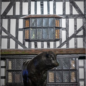 34. The Old House & Bull