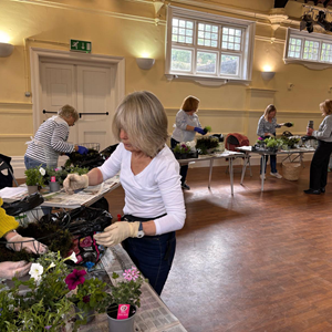 The Garden Shed Gallery