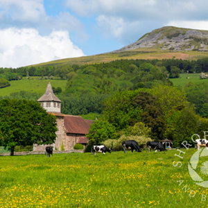 Cllr Anthony Bevington