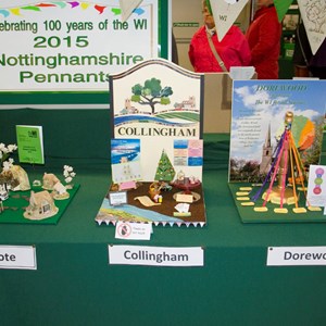 Nottinghamshire County Show - May 2015, Collingham Womens Institute