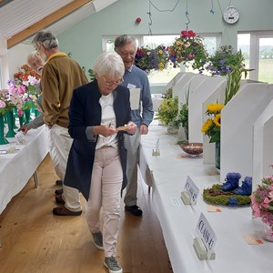 Bucklebury and Marlston Horticultural Society Summer Show Report 2024