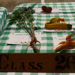 HBT Horticultural Society Photographs 2026