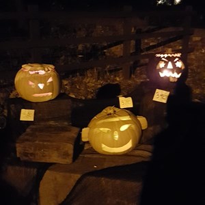 Maidford Parish Council Halloween