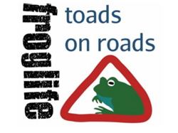 Sustainable Bourne Valley Toad Patrols