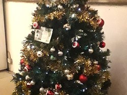 Aldiss Park Bowls Club Home