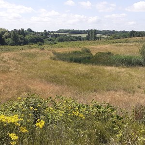 Langley Park country park